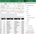 Excel Table Advanced Level View Table Form, the alternative table view in Excel - Office Watch