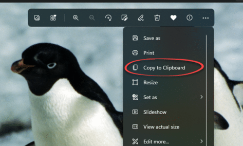 Change Picture from clipboard in Word and Office