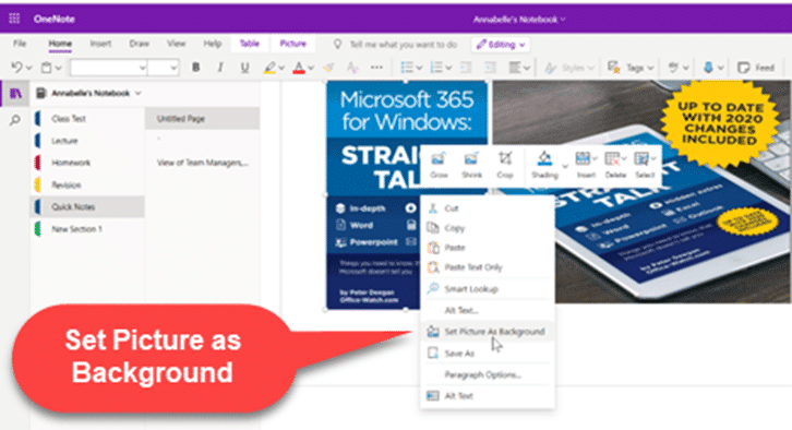 Set Picture as Background in OneNote