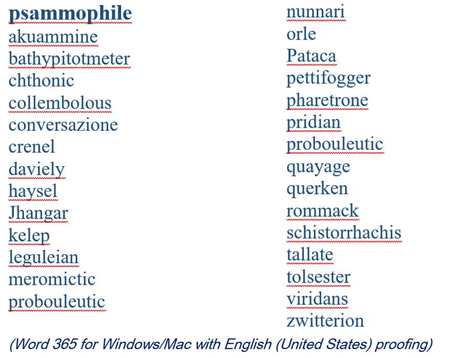 2025 Spelling Bee champs vs Microsoft Word
