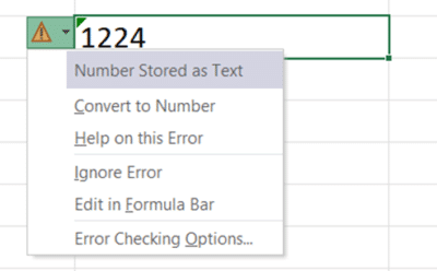 Making Sense of Text Data with Excel 365's Automatic Data Conversion ...