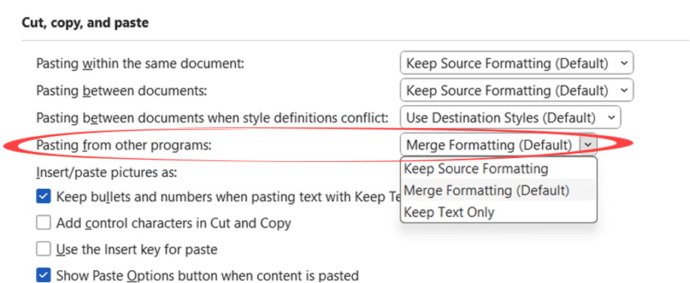 Word changes a Paste Text option