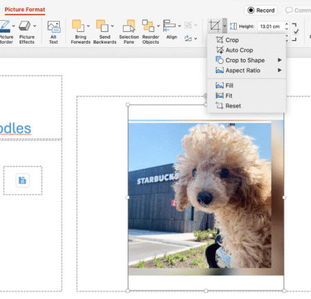 5 Easy Ways to Insert Images in PowerPoint: Quick Tips for Better Slides