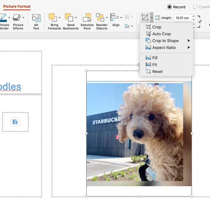5 Easy Ways to Insert Images in PowerPoint: Quick Tips for Better Slides