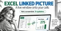 Excel Linked Picture: Live window onto cells, updates automatically. : Office-Watch.com