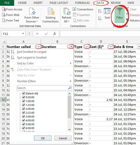 Excel - Data Filter