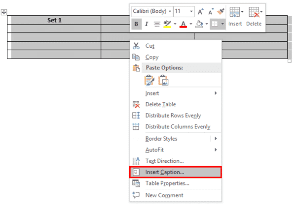 How To Insert Caption Equation In Word 2010 Tessshebaylo 9908