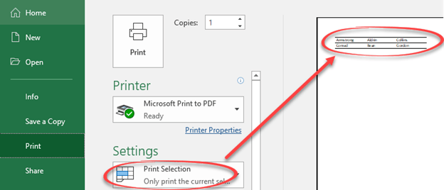 print-selection-and-other-choices-in-excel-office-watch